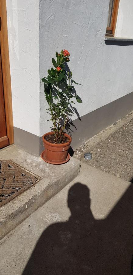 Ferienwohnung Natururlaub Muggenbrunn ทอดท์เนา ภายนอก รูปภาพ
