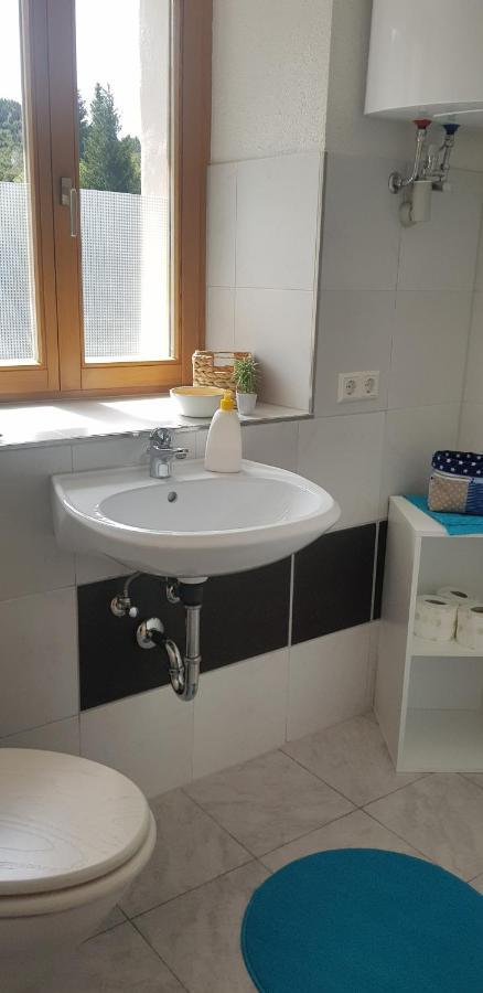 Ferienwohnung Natururlaub Muggenbrunn ทอดท์เนา ภายนอก รูปภาพ