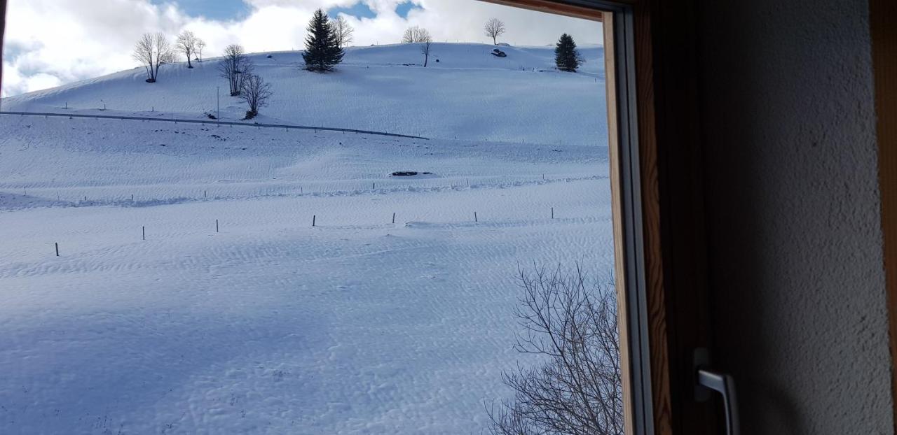 Ferienwohnung Natururlaub Muggenbrunn ทอดท์เนา ภายนอก รูปภาพ