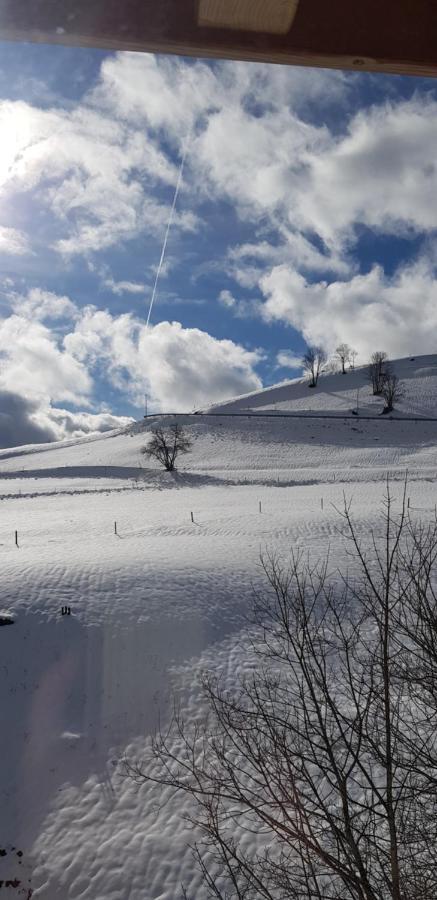 Ferienwohnung Natururlaub Muggenbrunn ทอดท์เนา ภายนอก รูปภาพ